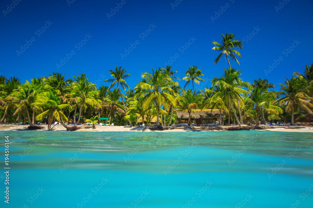 Palm and tropical beach in Punta Cana, Dominican Republic