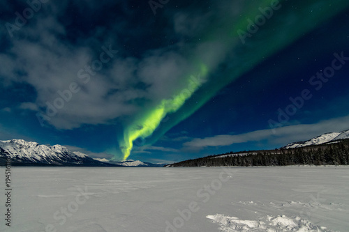 Northern Lights Aurora Borealis, Yukon Territory, Canada