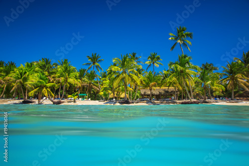 Fototapeta Naklejka Na Ścianę i Meble -  Palm and tropical beach in Punta Cana, Dominican Republic