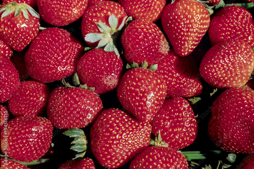 Fresh Strawberries in Farmers' Market Fresh Strawberries in Farmers' Market