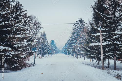 Winter road and snow with landscape of trees with frost