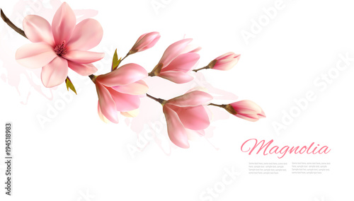 Fototapeta Naklejka Na Ścianę i Meble -  Nature background with blossom branch of pink magnolia. Vector