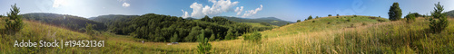 Beautiful summer panorama of lush vegetation in Altai Mountains