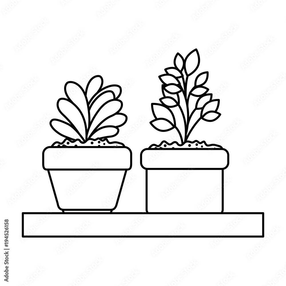 beautiful houseplants set in wooden shelf vector illustration design