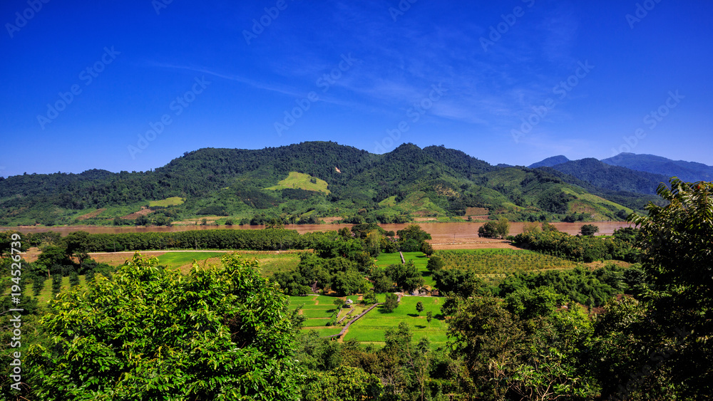 Naklejka premium kok river in the middle between mountain and forest in foreground with blue sky in background