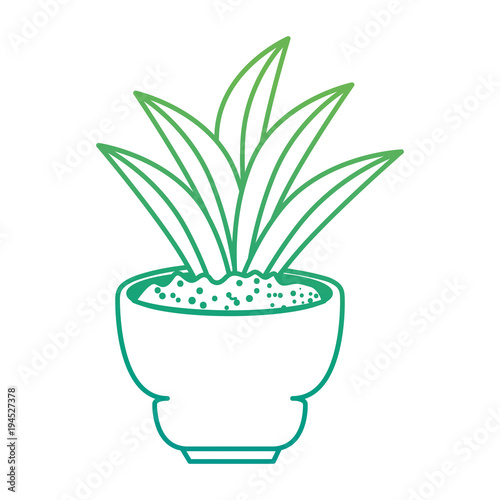 beautiful houseplant in pot vector illustration design