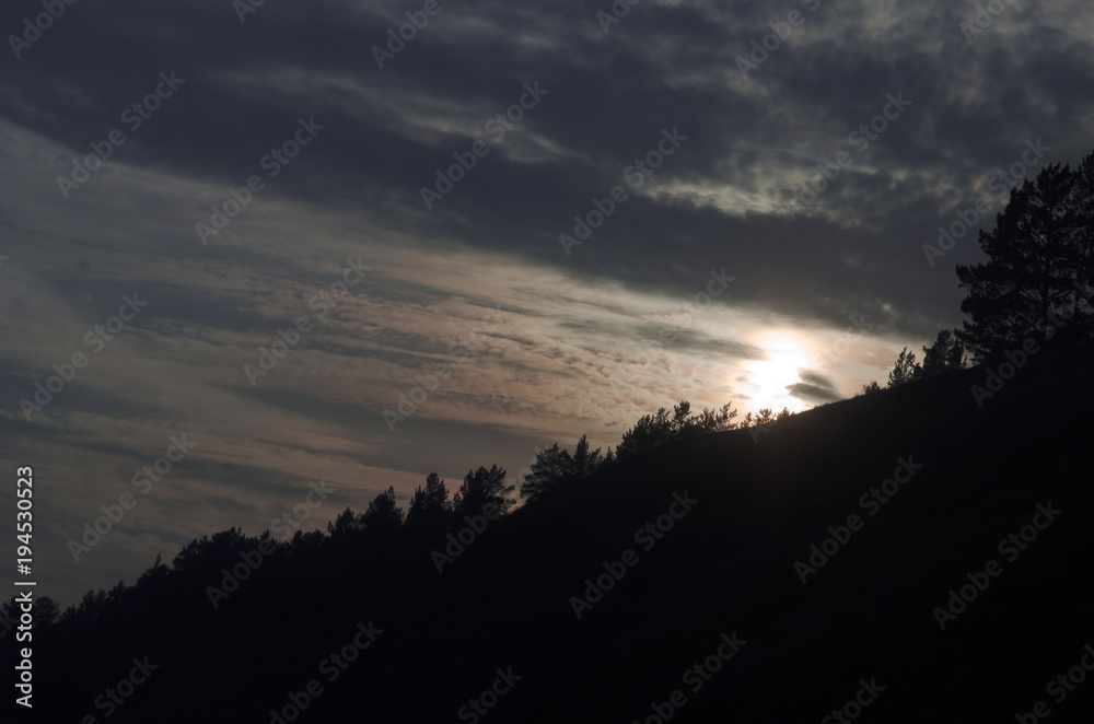 Obraz premium Sunset. silhouettes of trees