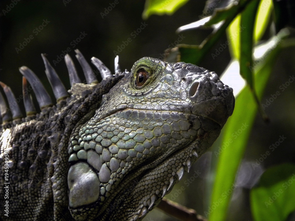 Costa Rica