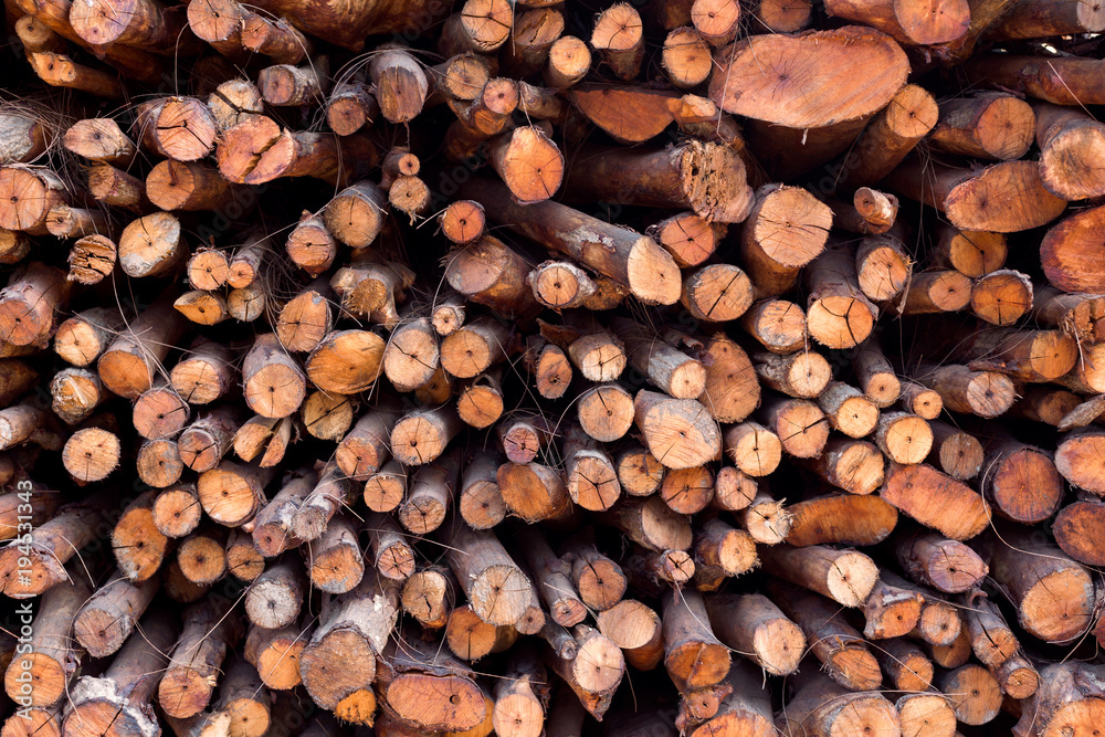 tree, Pile of wood logs ready for industry in a lumber staging and storage yard tree, Pile of wood logs ready for industry in a lumber staging and storage yard