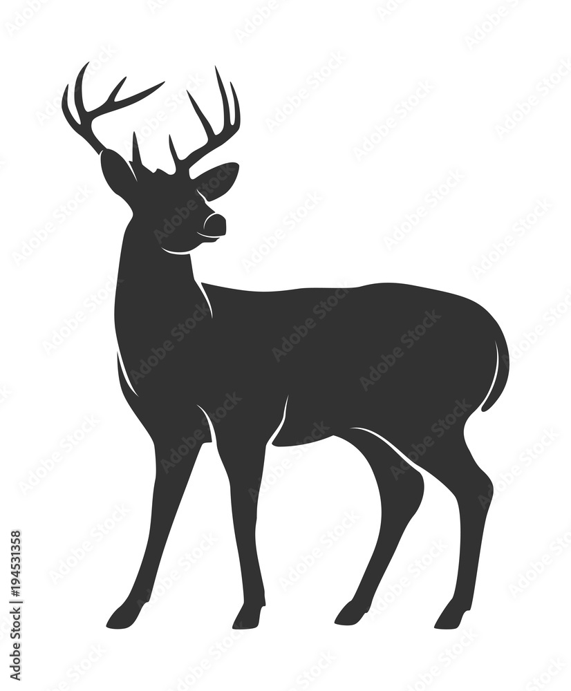 Obraz premium Sylwetka jelenia z rogami na białym tle
