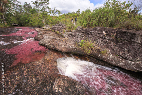 Cano Cristales (River of five colors), La Macarena, Meta, Colombia photo