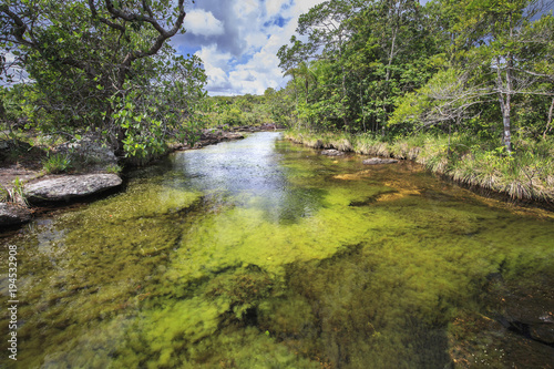 Fotografie Cano Cristales (River of five colors), La Macarena, Meta, Colombia