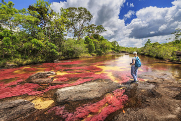 Fototapete Südamerika Cano Cristales Fluss der fünf Farben  © sunsinger