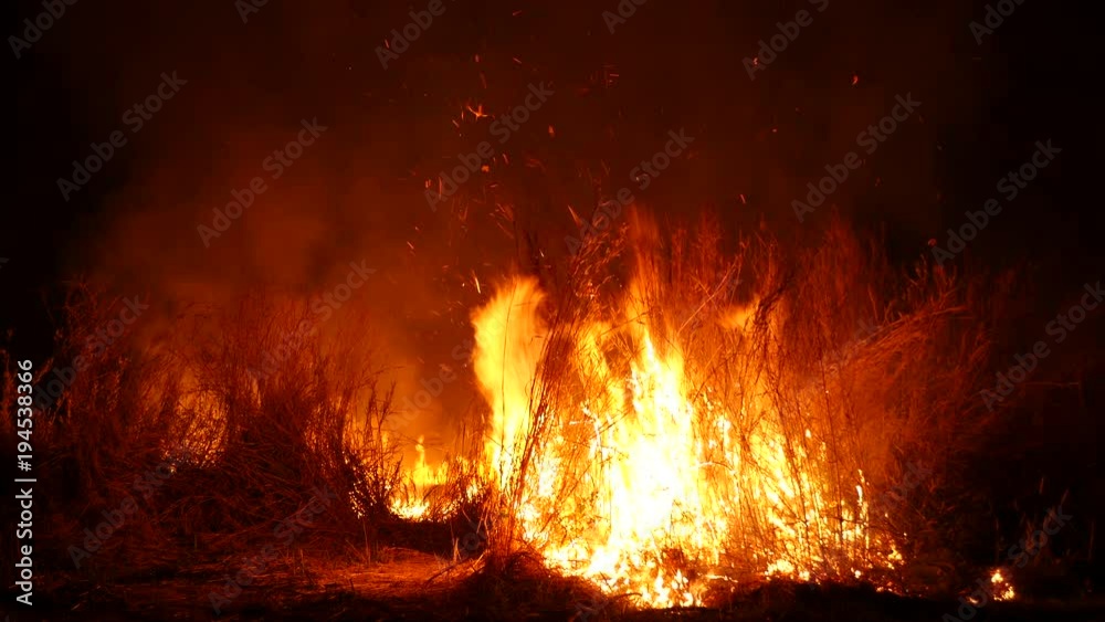 Burning grass of the field at night. Burning grass of the field at night.