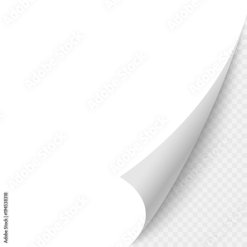 Paper blank page curled corner with shadow.