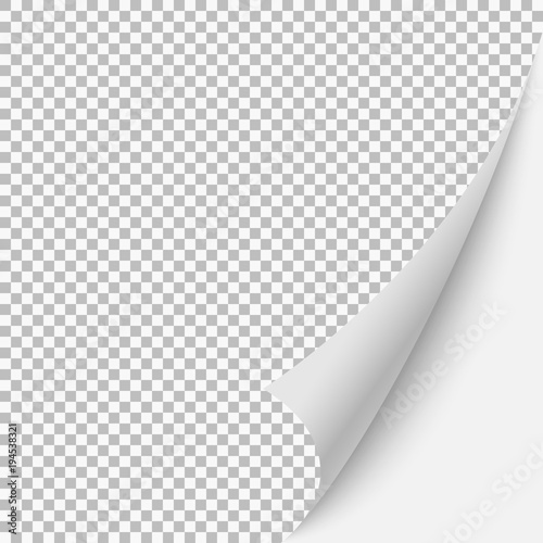 Paper blank page curled corner with shadow.