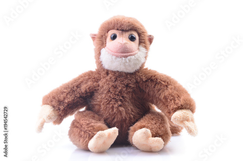 Monkey on a white background photo