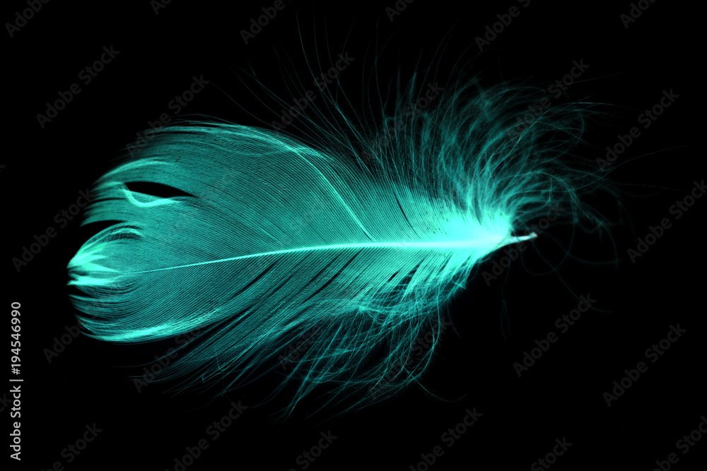 Fototapeta premium Niebieskie pióro na czarnym tle