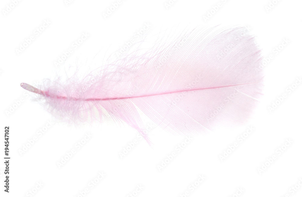Beautiful pink feather on a white background Beautiful pink feather on a white background