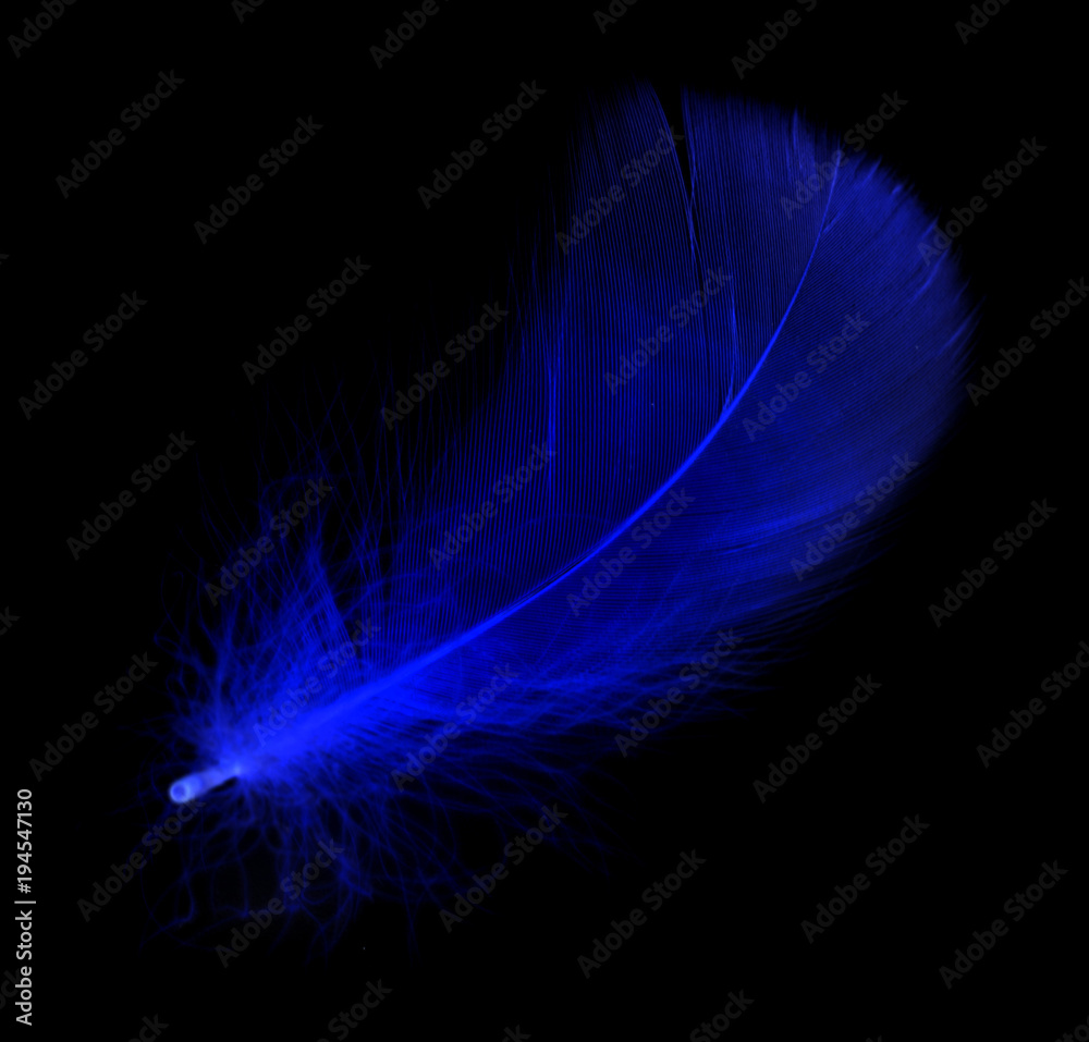 Naklejka premium Niebieskie pióro na czarnym tle