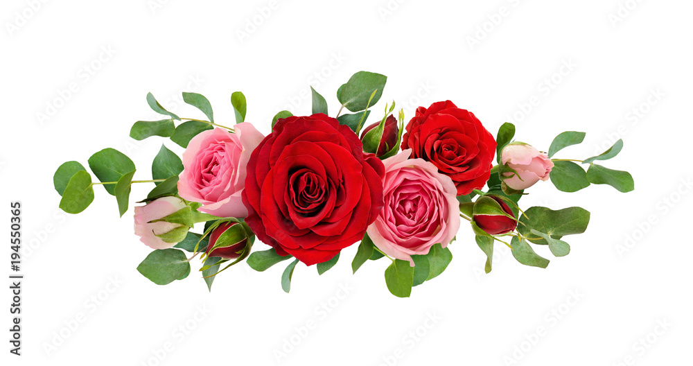 Fototapeta premium Czerwone i różowe kwiaty róży z liśćmi eukaliptusa w układzie liniowym
