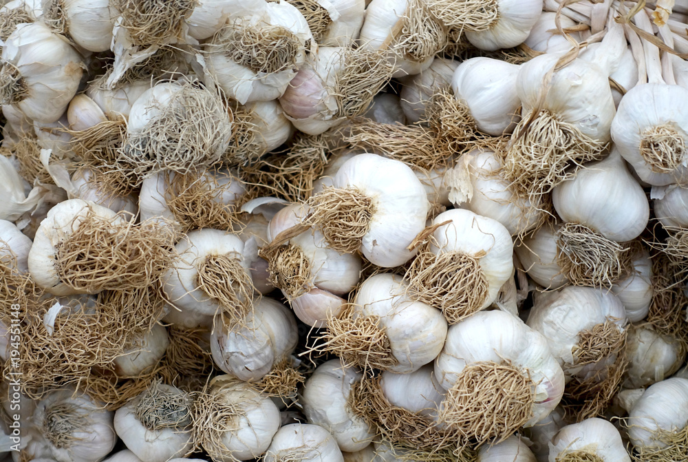 Close-up of a heap of garlic as background. Close-up of a heap of garlic as background.