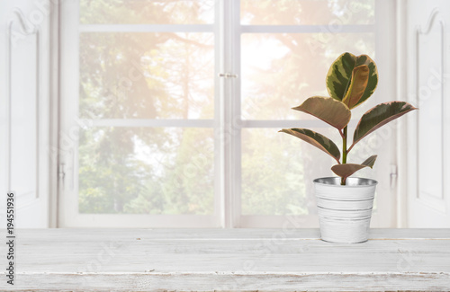 Wooden table with plant pot on blurred background of window