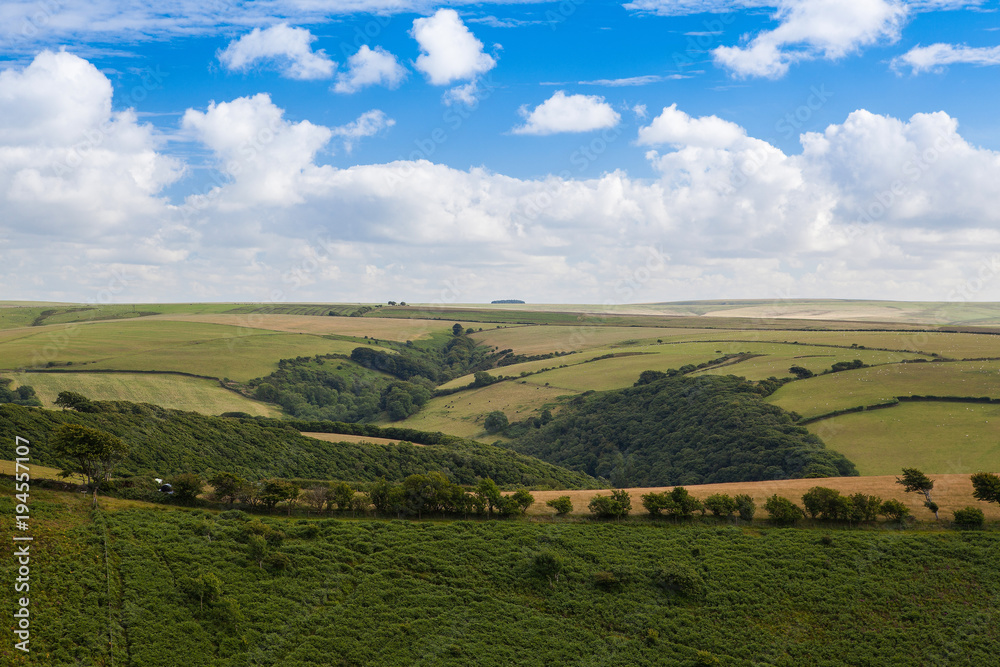 Obraz premium Typical landscape in Devon, Great Britain