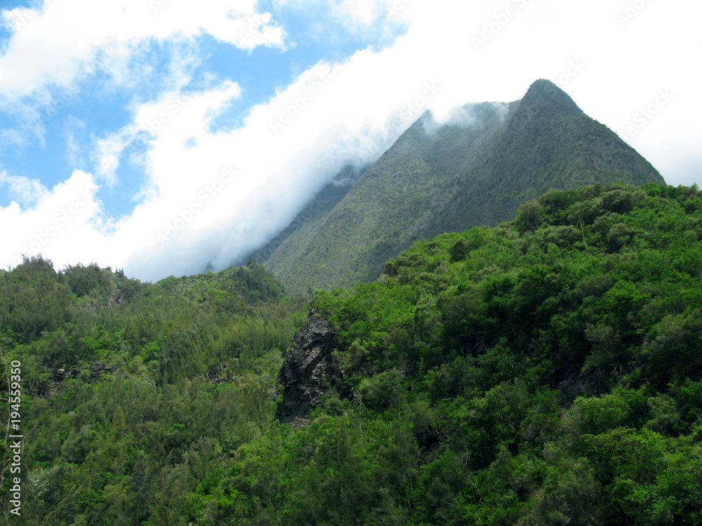 Cilaos / La Reunion: Lush vegetation in front of the mist descended elongated northern mountain slopes of „Le Dimitile“ mountain