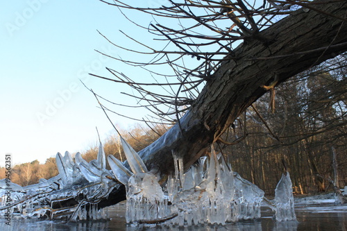 Eiszeit an der Berliner Havel (1. März 2018) photo