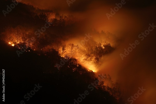 Night photography of a wildfire in a mountain forest