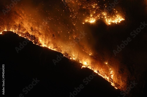 Night photography of a wildfire in a mountain forest