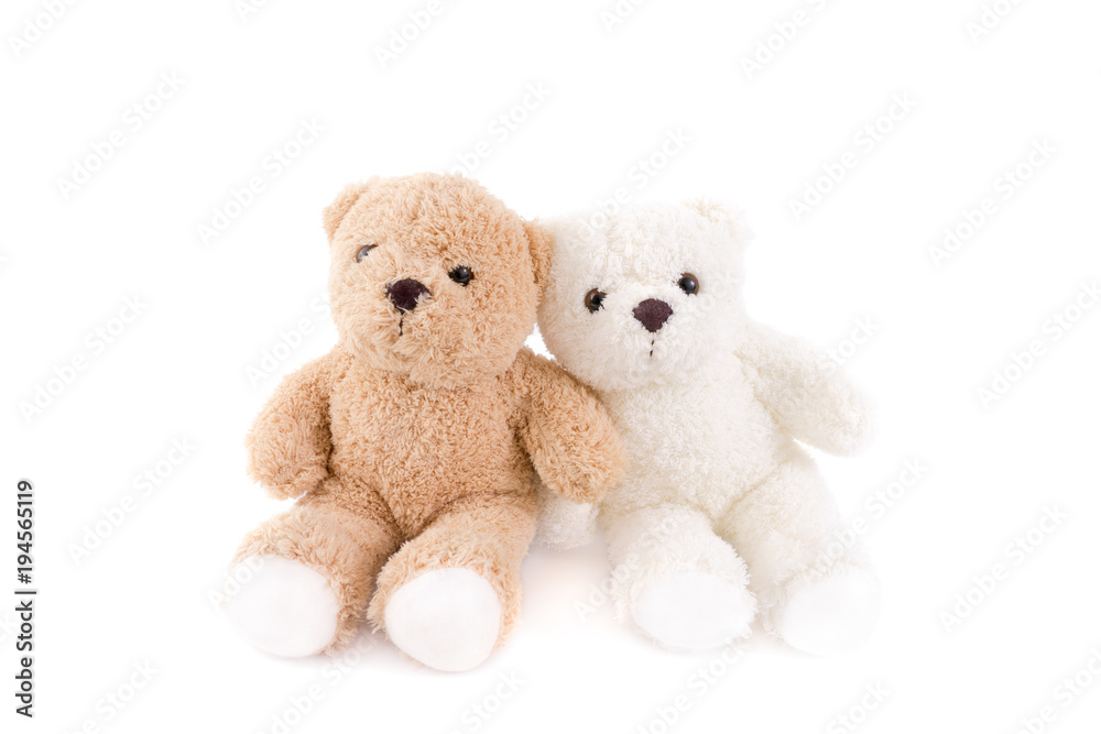 Obraz premium Two lover of white and brown fluffy cute romantic teddy bear cuddle together with white background.