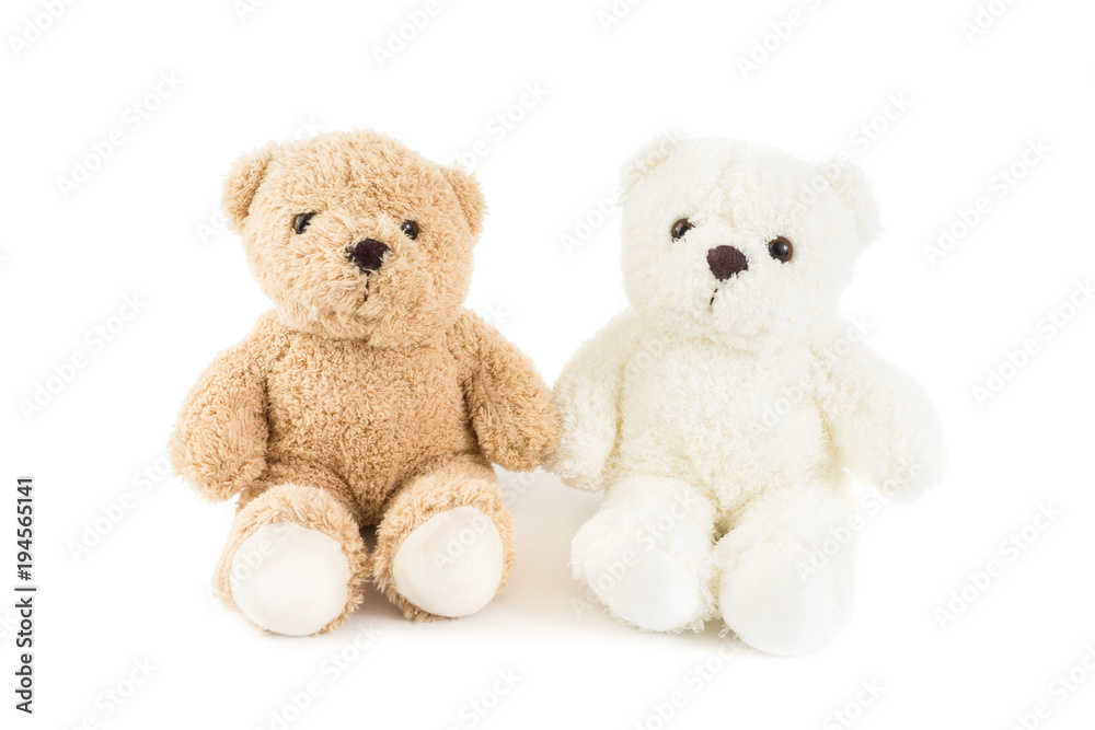 Two lover of white and brown fluffy cute romantic teddy bear cuddle together with white background. Two lover of white and brown fluffy cute romantic teddy bear cuddle together with white background.