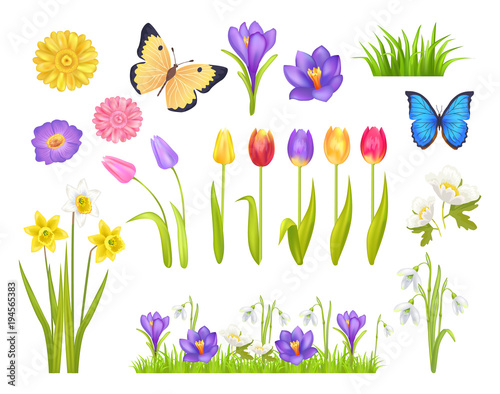 Flowers and Butterflies Set Vector Illustration