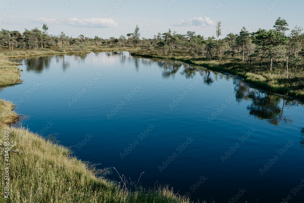 Large blue lake in swamp in summer. Kemeru Latvia