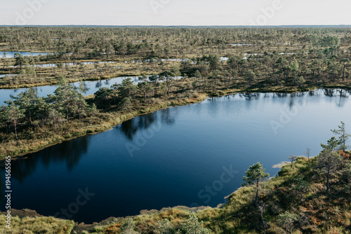 Big swamp lake between other lakes in summer. Kemeru Latvia