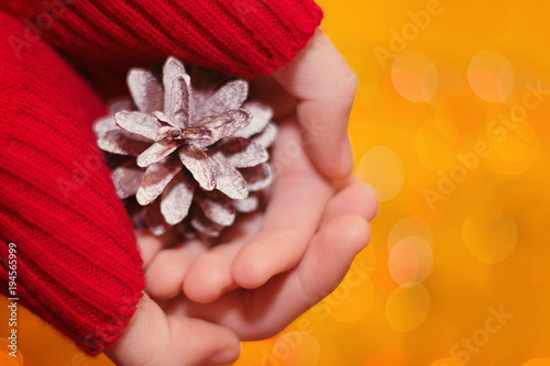 decorative fir cone in hands