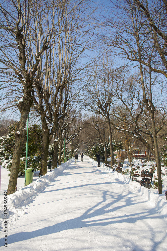 Bucharest after a heavy snowfall in the park Cismigiu Bucharest after a heavy snowfall in the park Cismigiu
