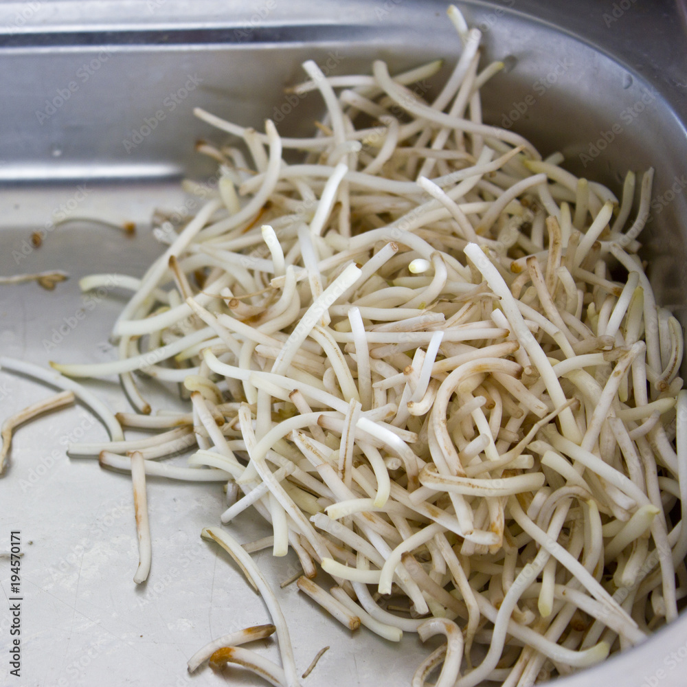 Soybean sprouts in a professional steel tray