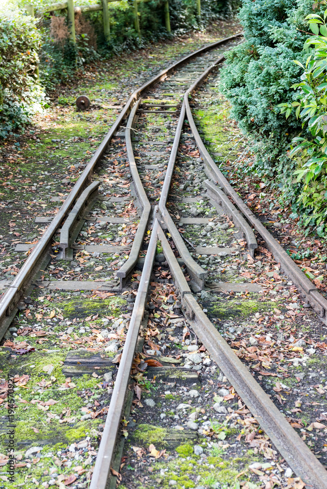 Obraz premium Railway Tracks crossing and going in different directions