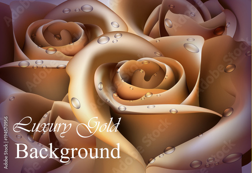 Golden Rose flower close up Vector realistic background. 3d illustration deli...