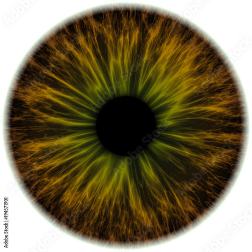 Fototapeta Naklejka Na Ścianę i Meble -  Illustration of a brown with green human iris. Digital artwork creative graphic design.