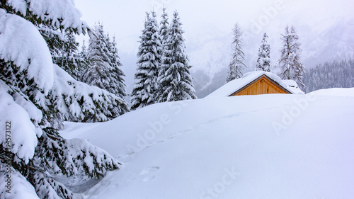 Trail in the snow. Sappada © Nicola Simeoni