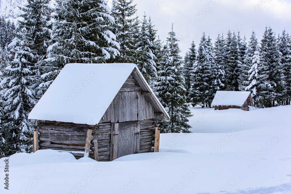 Surprises in the snowy forest. Huts in the snow. Sappada Surprises in the snowy forest. Huts in the snow. Sappada