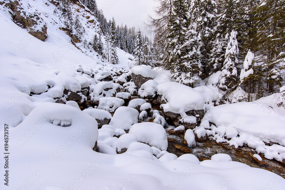 Surprises in the snowy forest. Sappada Surprises in the snowy forest. Sappada