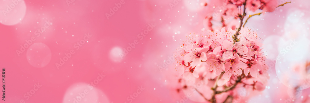 Spring Blooming #Pink Cherry Blossoms #bokeh #dream #dust