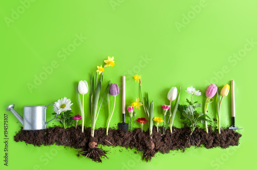 Spring flower bed background