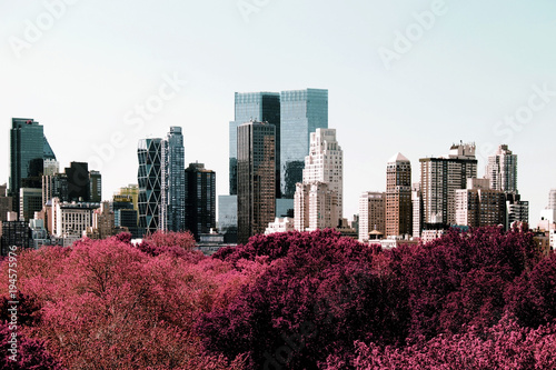 Rare view of NYC skyline from central park in color infrared