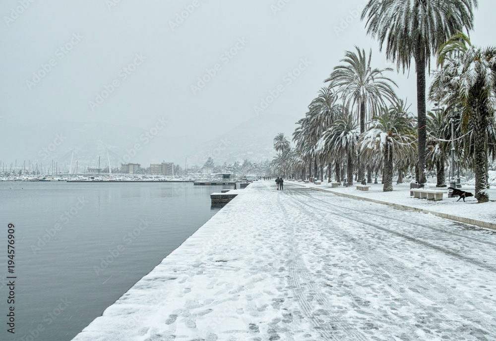 Obraz premium green olive